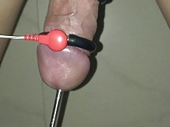 electric shock and chopsticks into the urethra 2